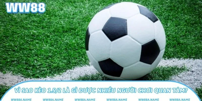 Vì sao kèo 1.5/2 là gì được nhiều người chơi quan tâm?